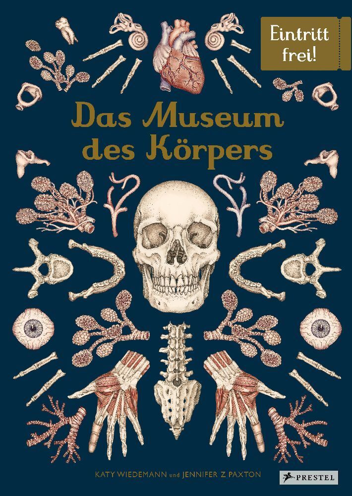 Das Museum des Körpers