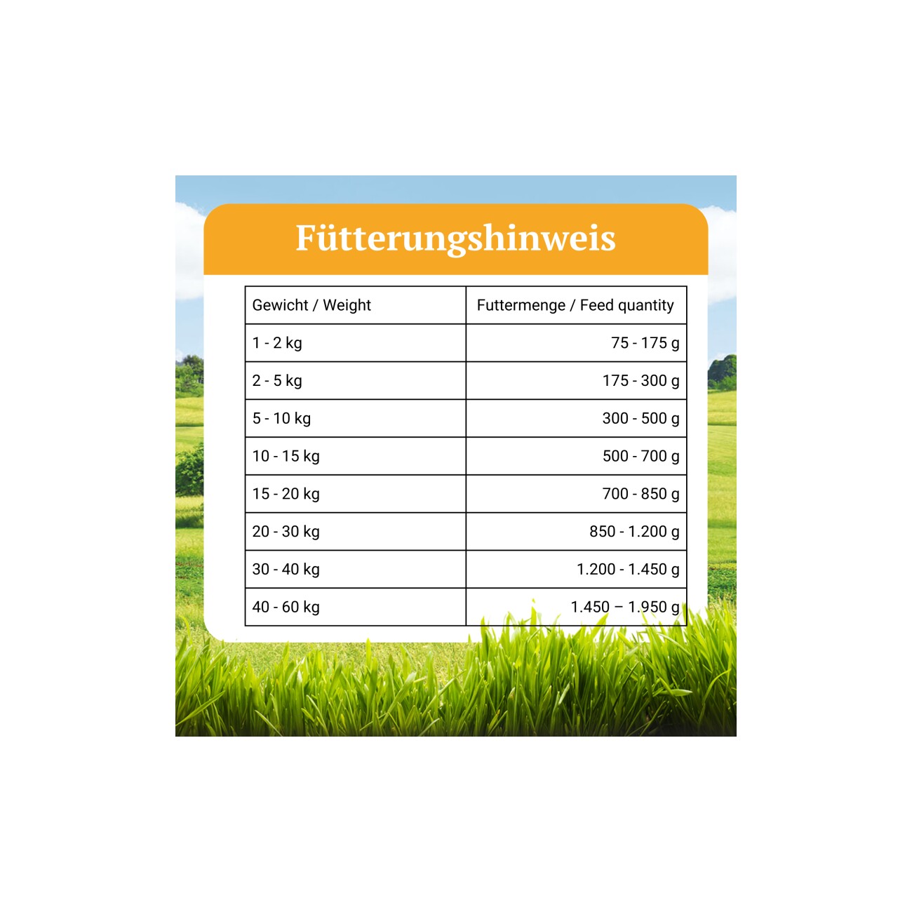 Bellfor Hundefutter Nass mit Insekten - Naturfarm-Menü - 400g