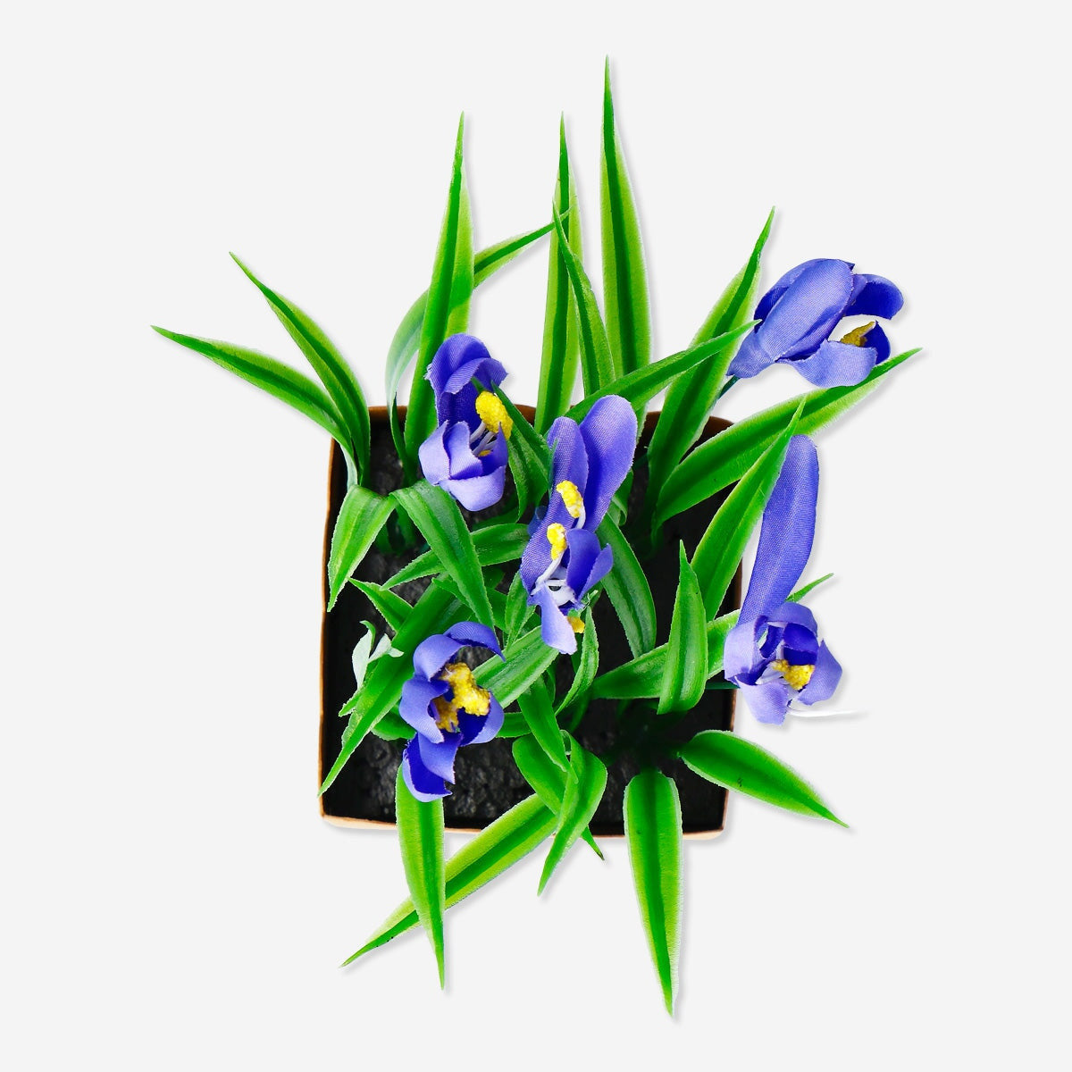 Dekorativ blomst
