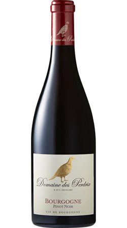 Domaine des Perdrix 2020 Bourgogne Pinot Noir rouge