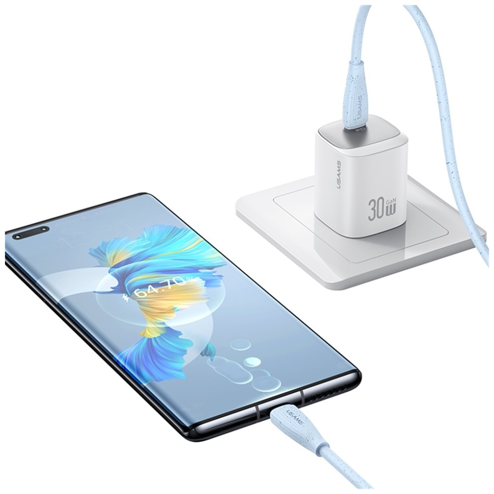 (1m) 60W USB C auf USB C Ladekabel Datenkabel Fast Charge (USA001608) - Blau