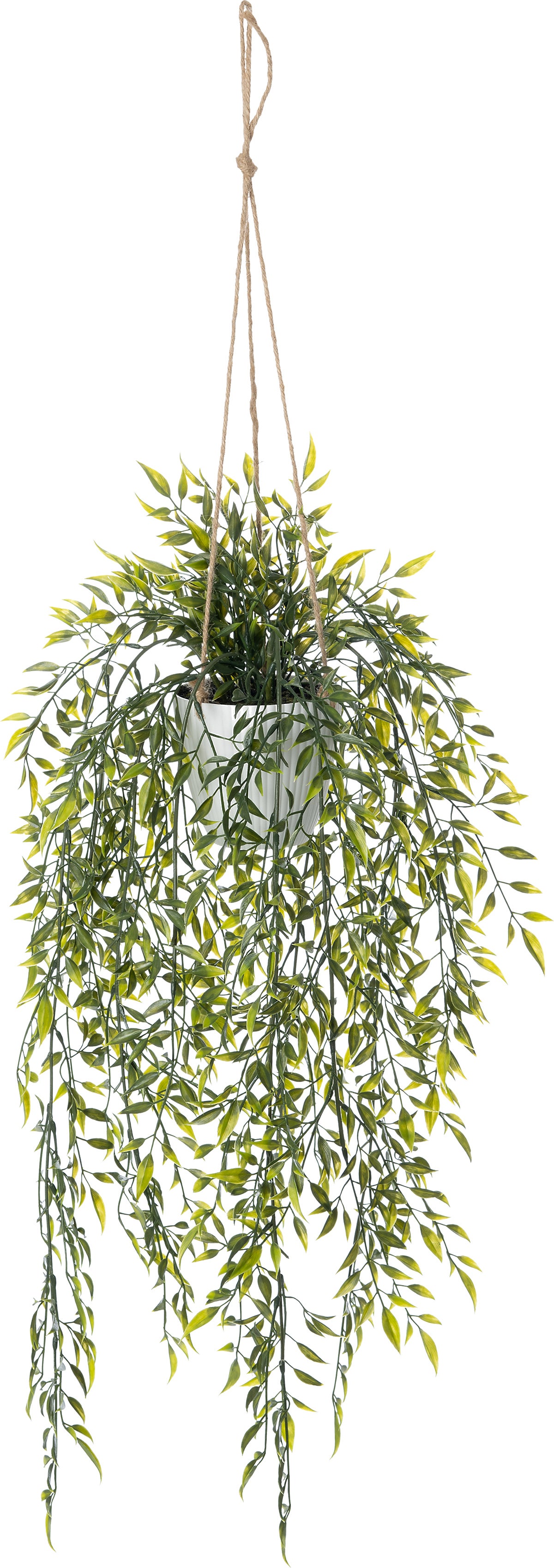 Intratuin kunsthangplant Lipstickplant 30 x 30 x 66 cm