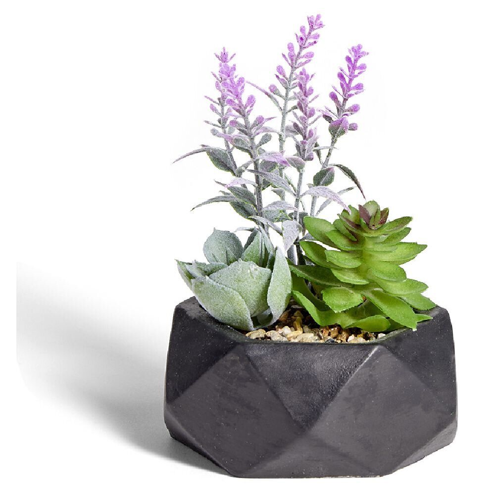 Plante artificielle dans pot en ciment design noir Ø11,4xH11,5cm