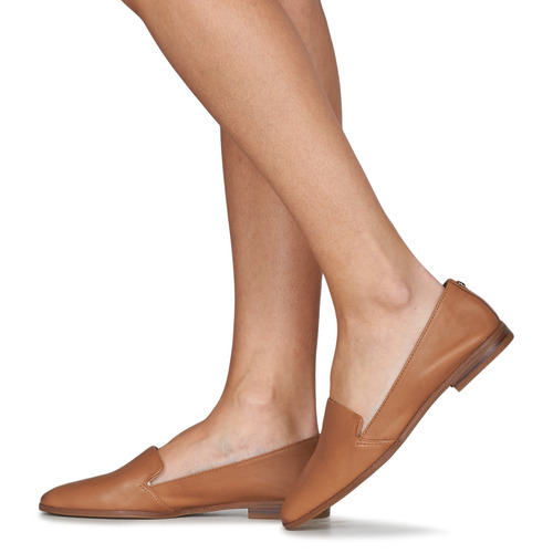 Aldo - VEADITH - Cognac