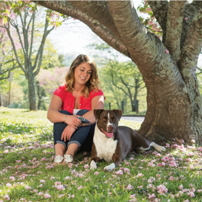 Collier et système de dressage PetSafe pour chien