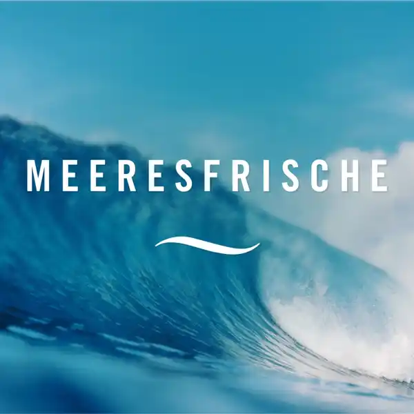 Lufterfrischer Meeresbrise