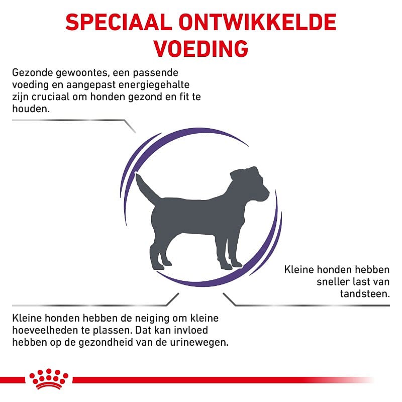 ROYAL CANIN® Small Dog Adult