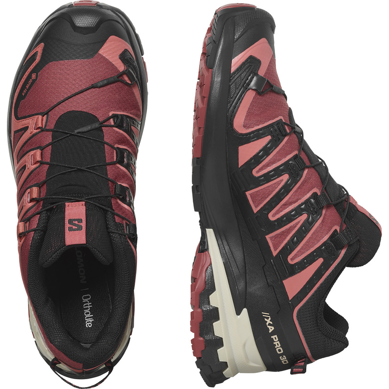 Salomon Damen Xa Pro 3D V9 GTX Schuhe