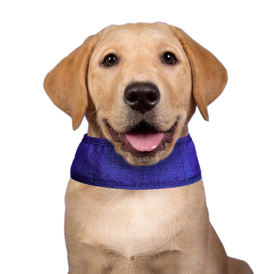 Aqua Coolkeeper Cooling Collar Pacific Blue Kühlhalsband