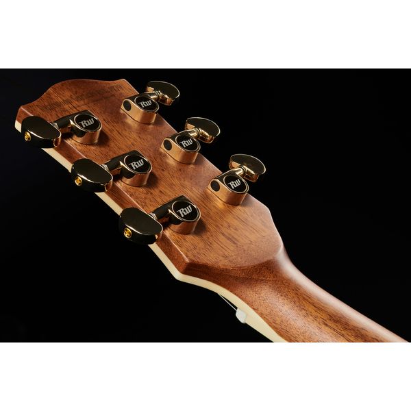 Richwood G-70 CE VA