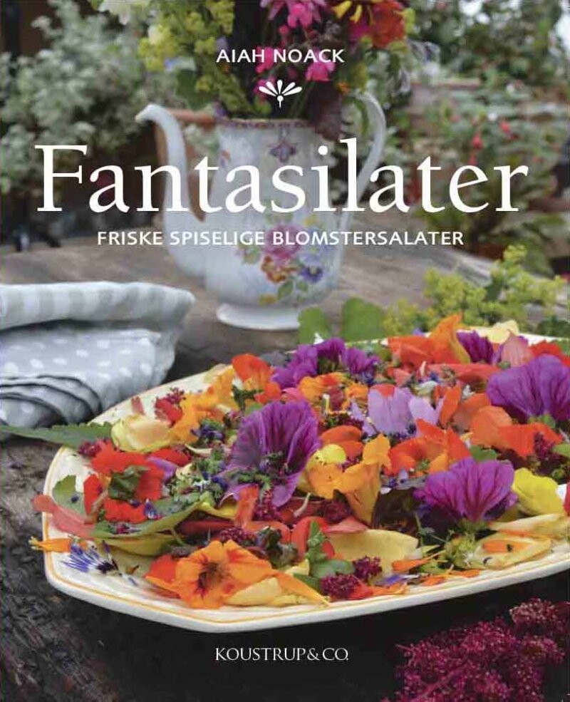 Fantasilater - Aiah Noack - Bog