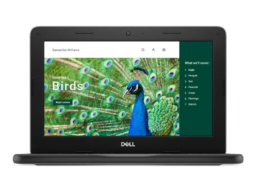 Dell Chromebook 3120 (2024) - Intel N-series - N100 / op til 3.4 GHz - Chrome OS - UHD Graphics - 8 GB RAM - 64 GB eMMC - 11.6