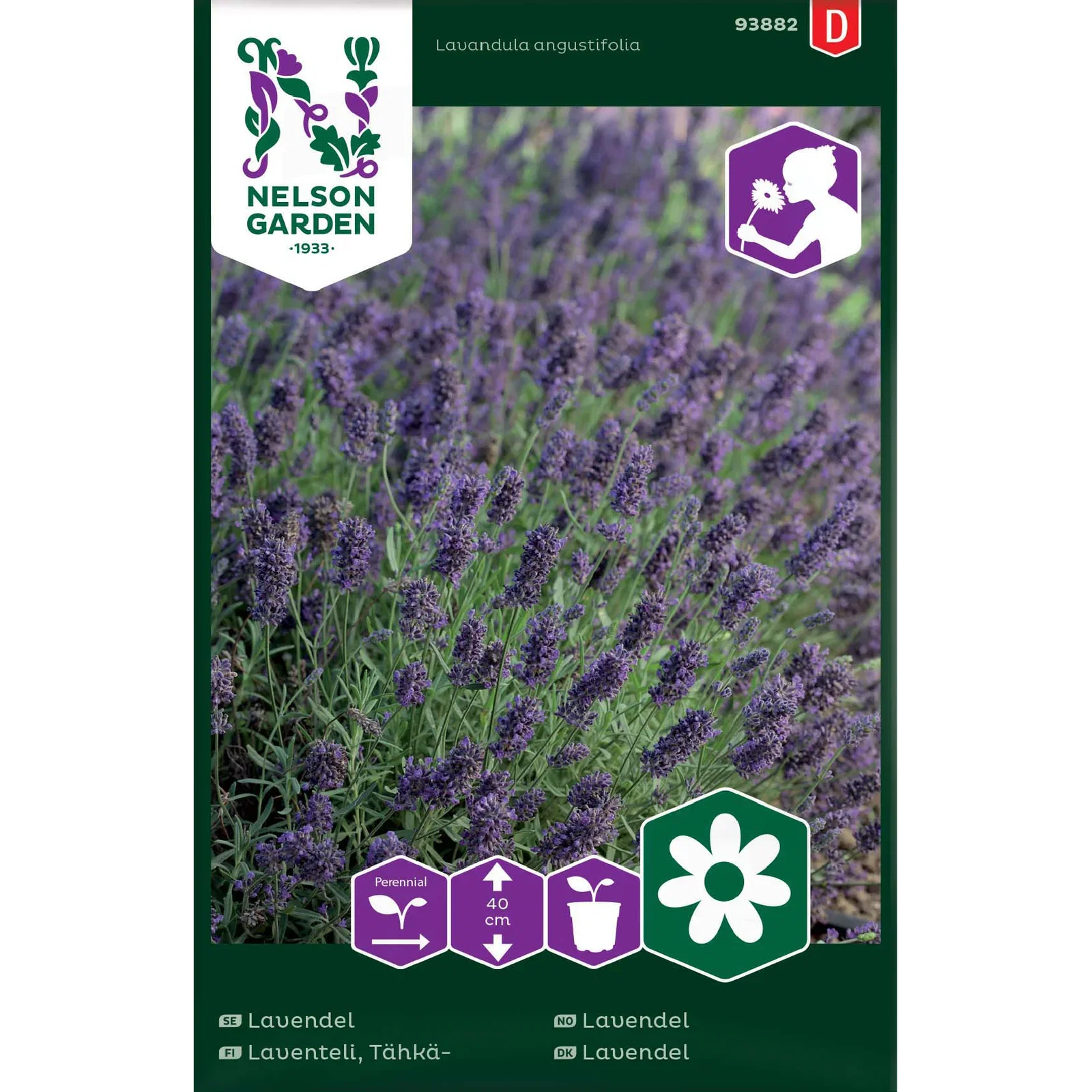 Lavandula angustifolia Lavendel