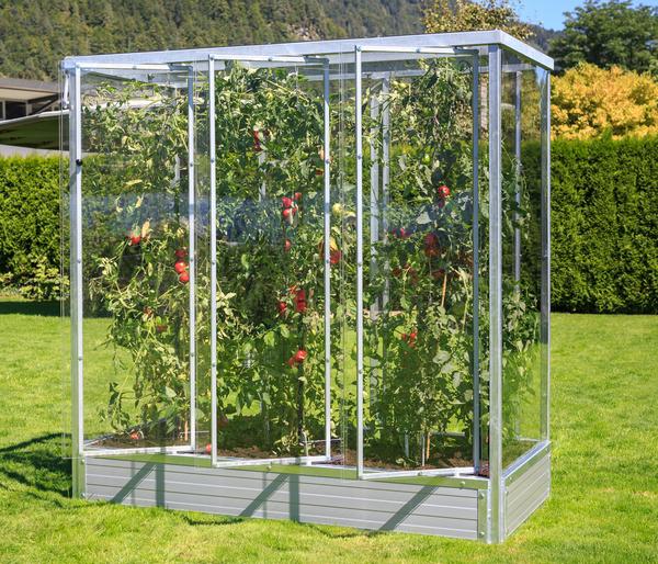 Tomatenhaus Julia, ca. B195/H200/T99 cm