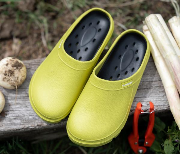 Blackfox Clogs Evasion