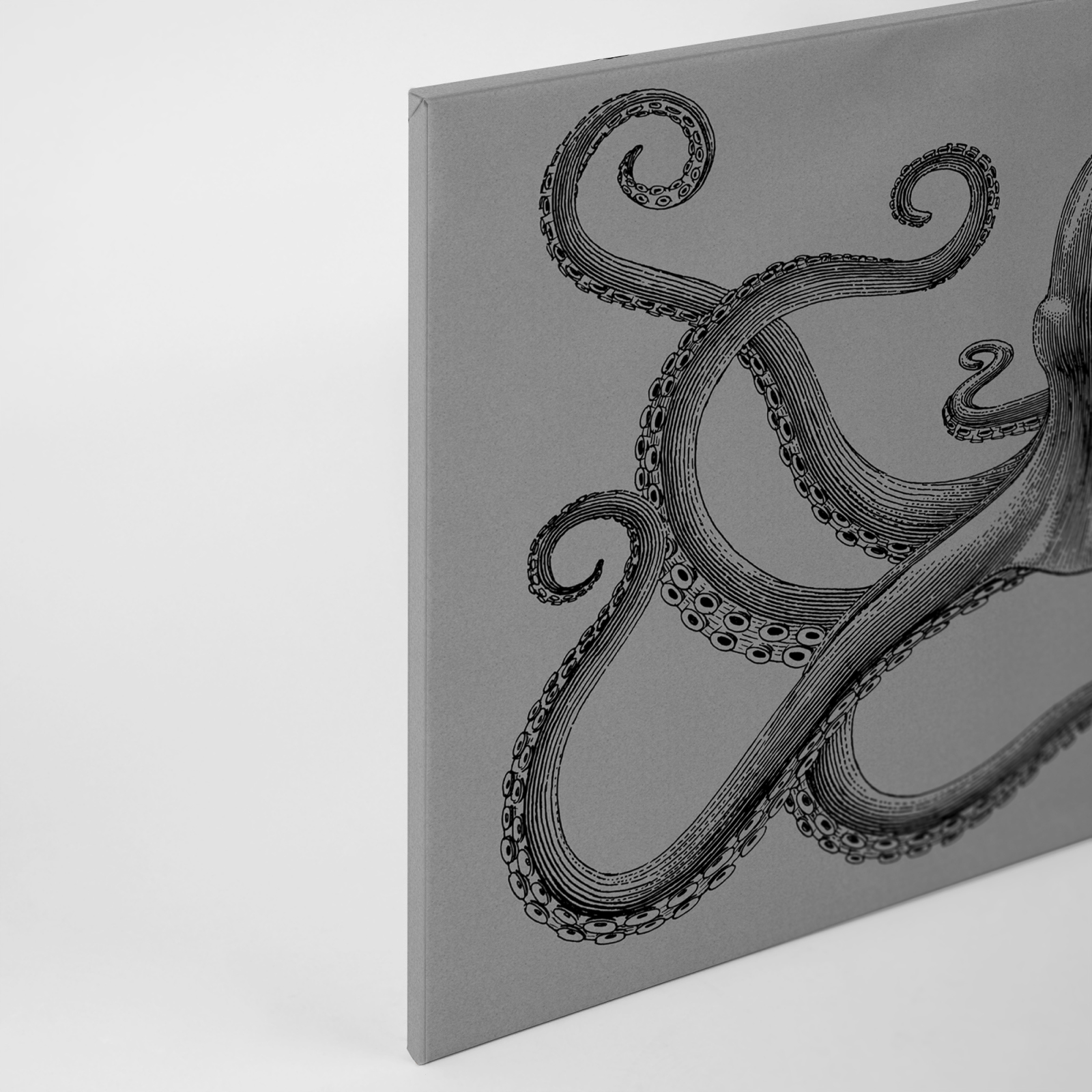 Leinwandbild KRAKE - grau-schwarz - 90x60 cm
