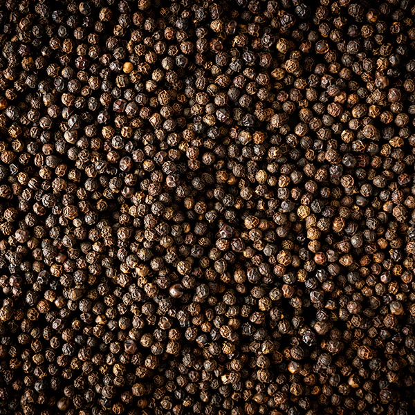 Poivre noir Bio Kampot 3 x 20g Peugeot