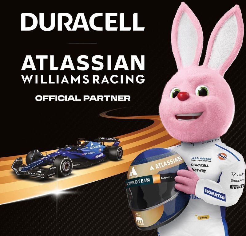 Duracell Plus - AA Alkaline Batterijen - 1,5V - 12 Stuks