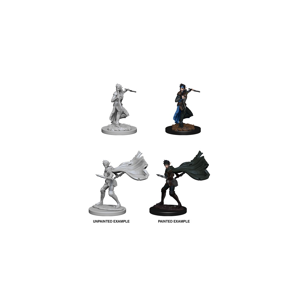 Pathfinder Deepcuts Unpainted Miniatures: Elf Female Rogue