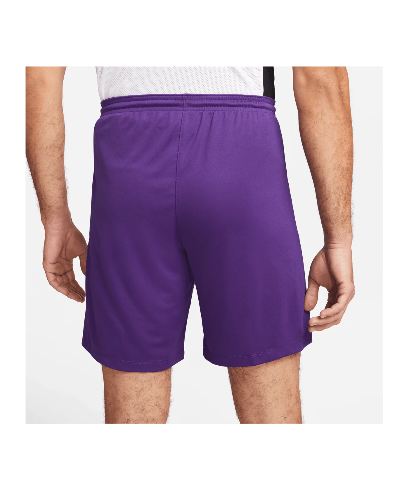 Nike Park III Short Lila F547