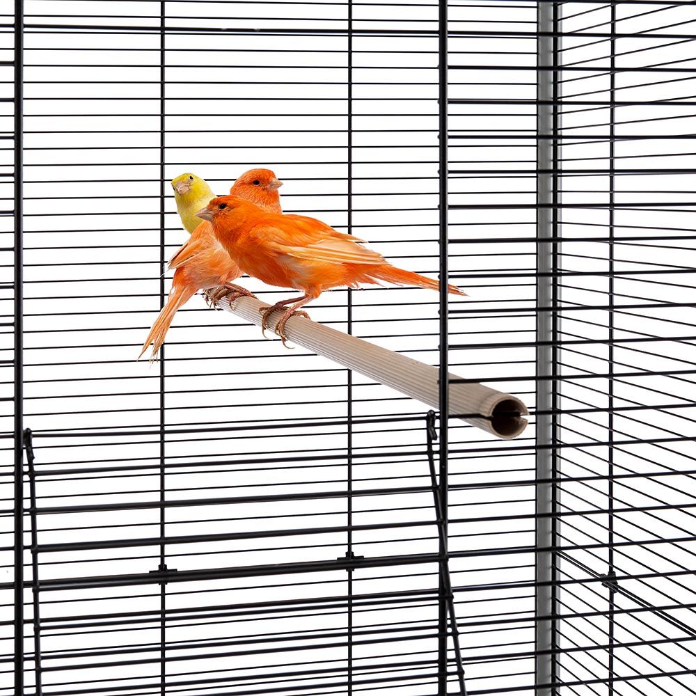 Ferplast cage oiseaux planeta, volière, perruche, canari, petits oiseaux, avec mangeoire et accessoires, support à roulettes