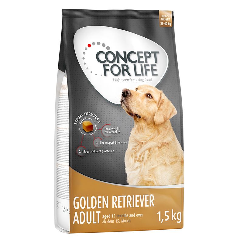 Concept for Life Golden Retriever Adult