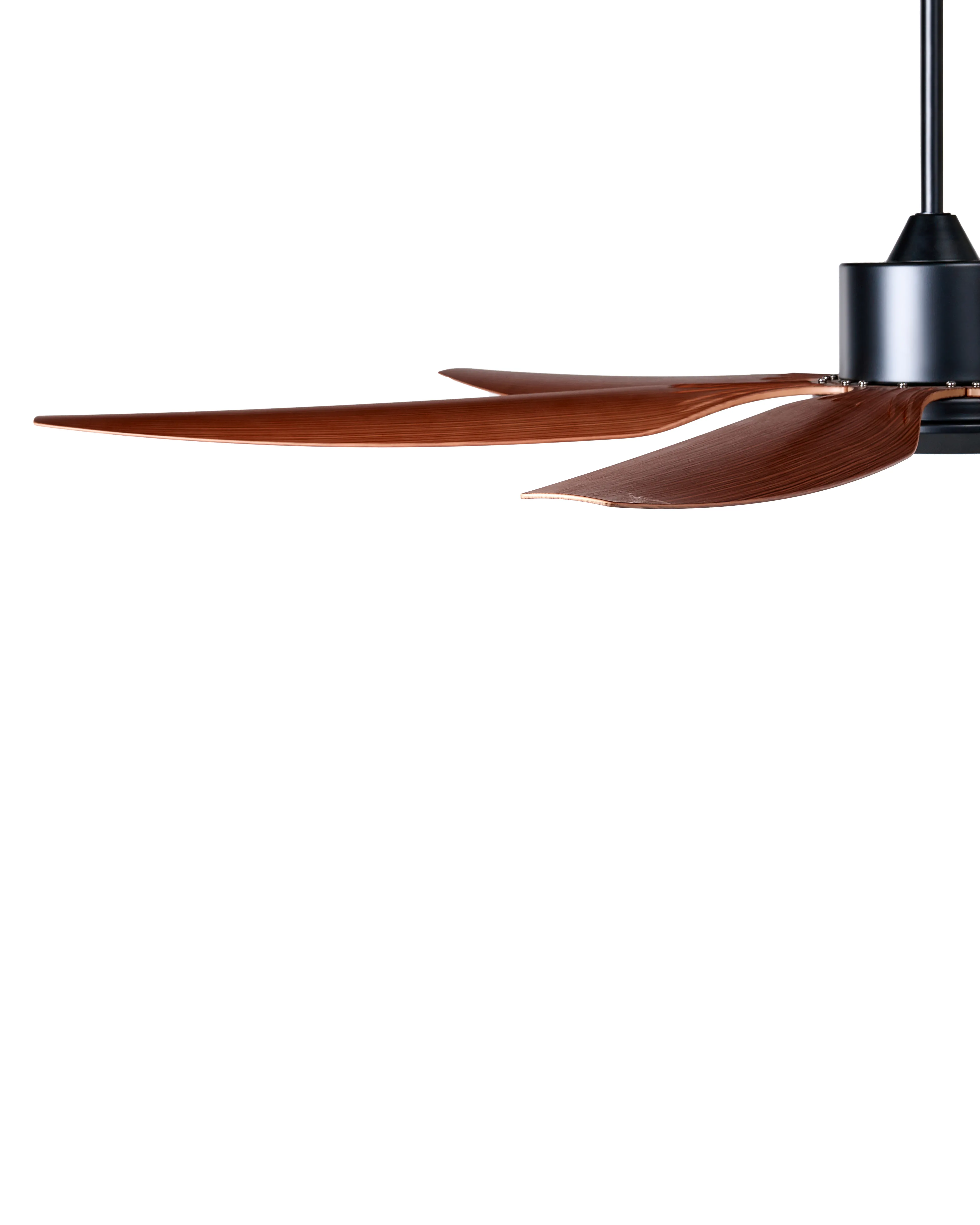 Plafondventilator met verlichting VERDURE met afstandsbediening LED Bruin