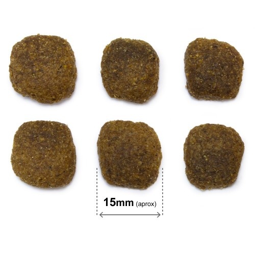 Ração Arquivet Original Salmão e Arroz para Cães Adultos
