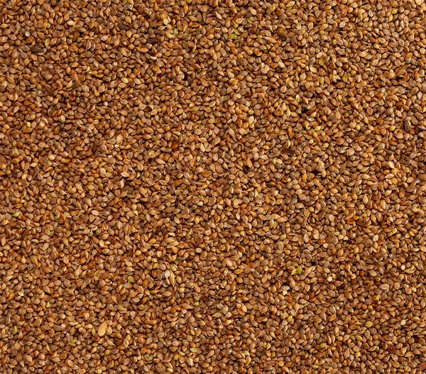 Dehner Lieblinge Japanhirse, 1 kg