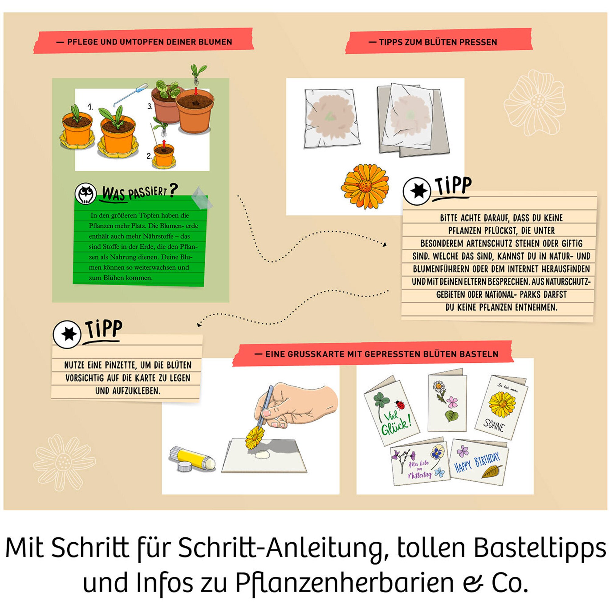 Kosmos Experimentierkasten Blütenpresse