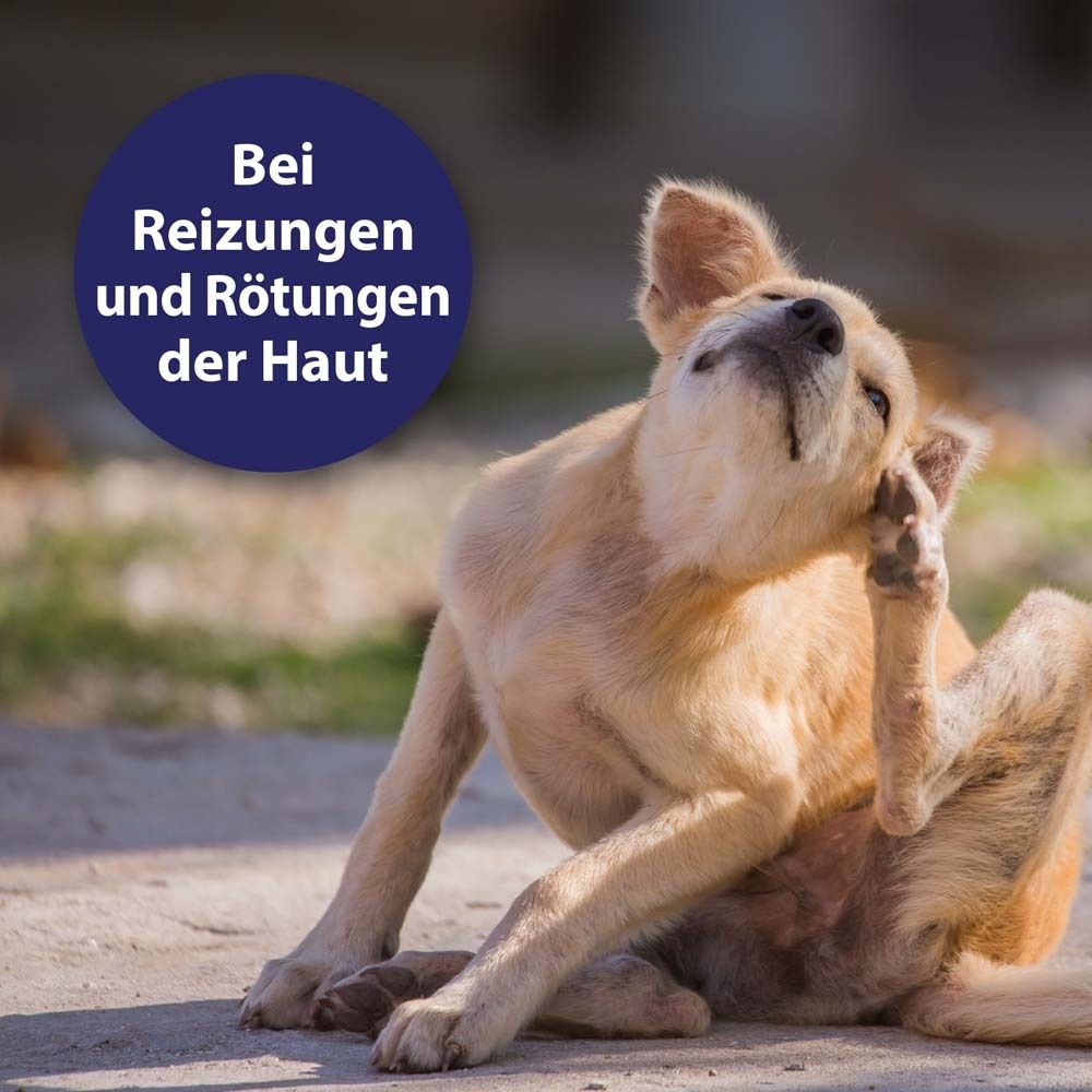 Canosept® Hautpflegespray für Hunde