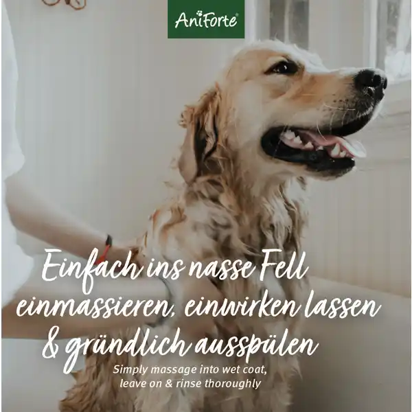 Fellharmonie Shampoo Kokos