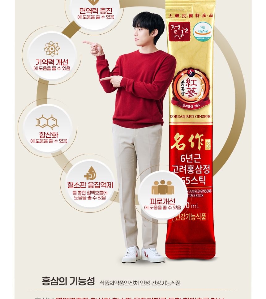JUNGWONSAM - Premium Koreaanse rode ginseng-extract 365 sticks