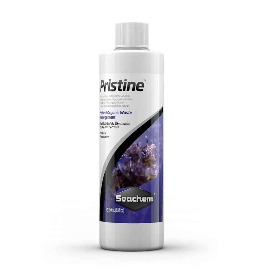 Bactérias Pristine para Aquário da Seachem