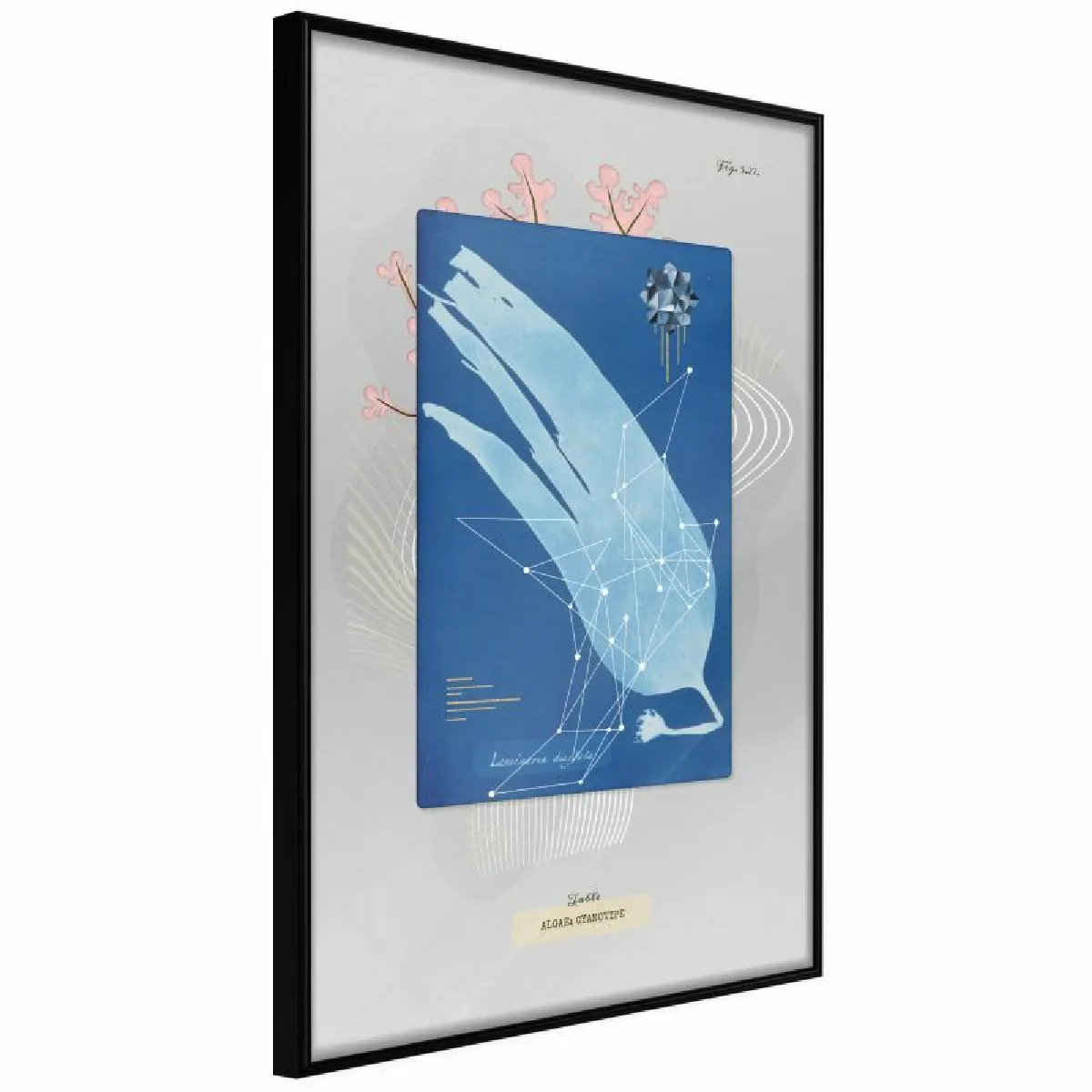 Paris Prix Affiche Encadrée Alga Cyanotype