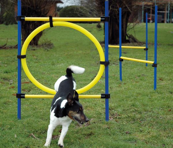 dobar® petlife Agility Sprung-Set, 3-teilig