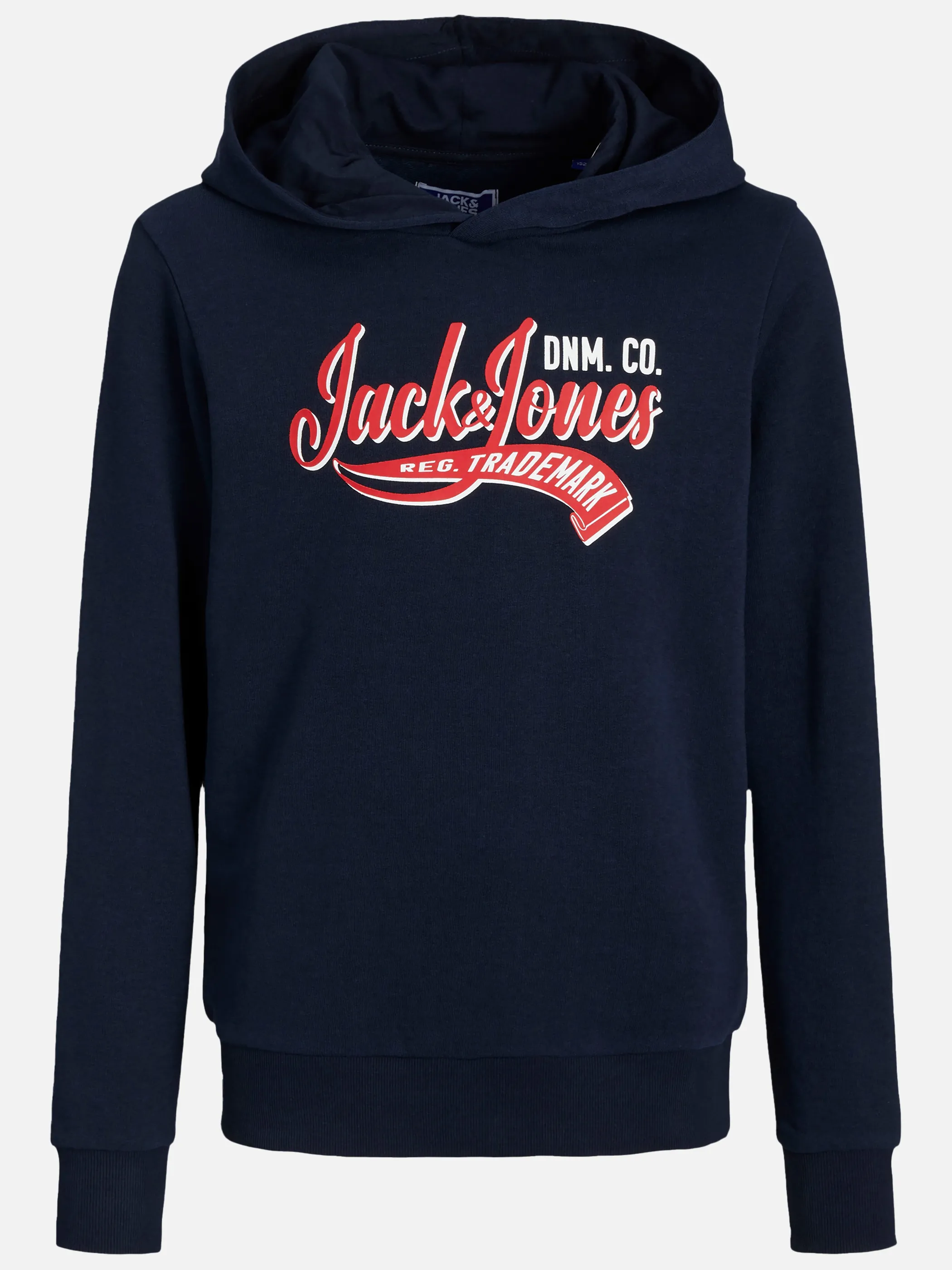 Jack&Jones Junior JJELOGO SWEAT HOOD 2 Hoodie