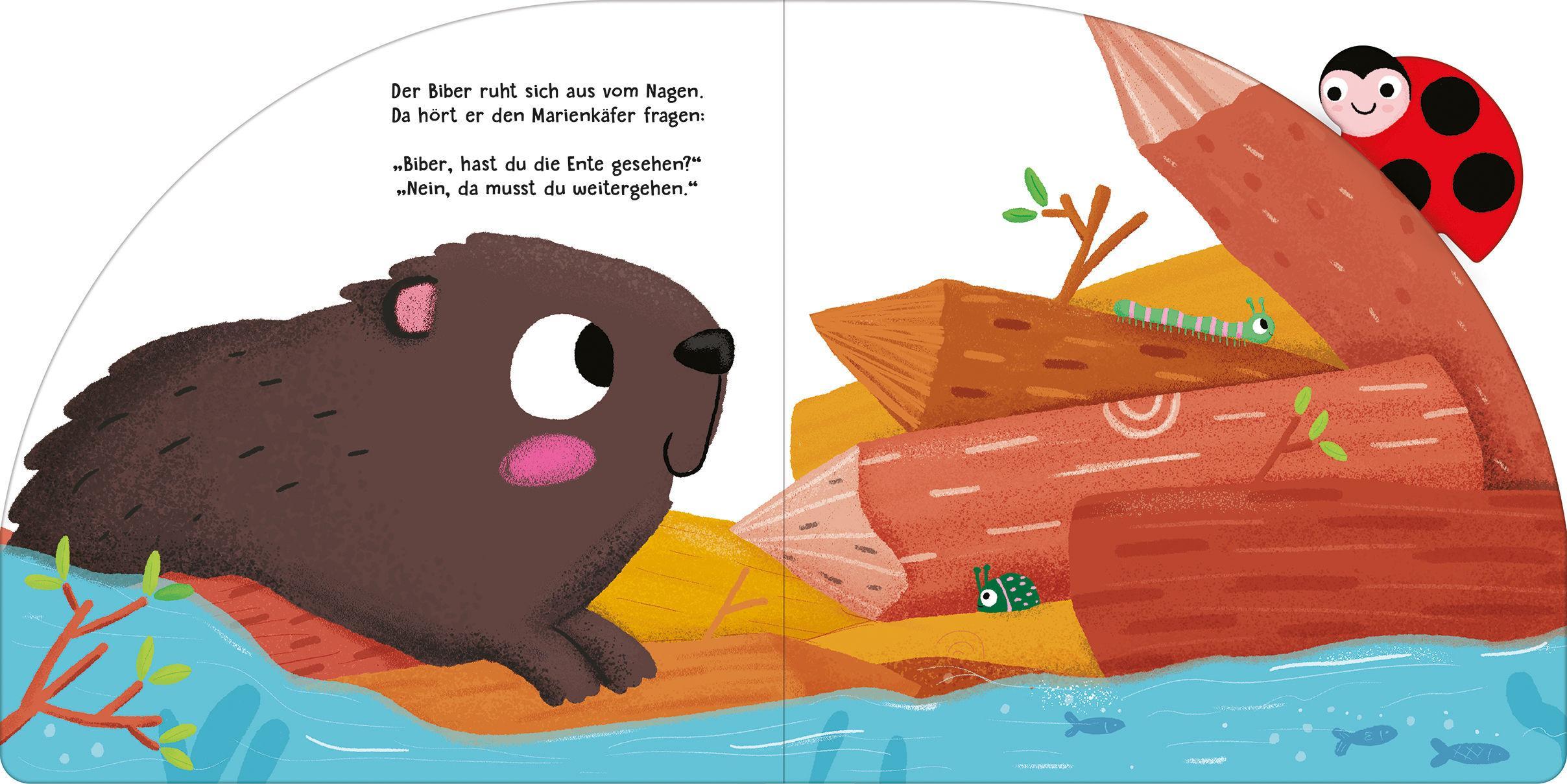 Meine liebsten Krabbeltiere - Am Teich mit dem kleinen Marienkäfer