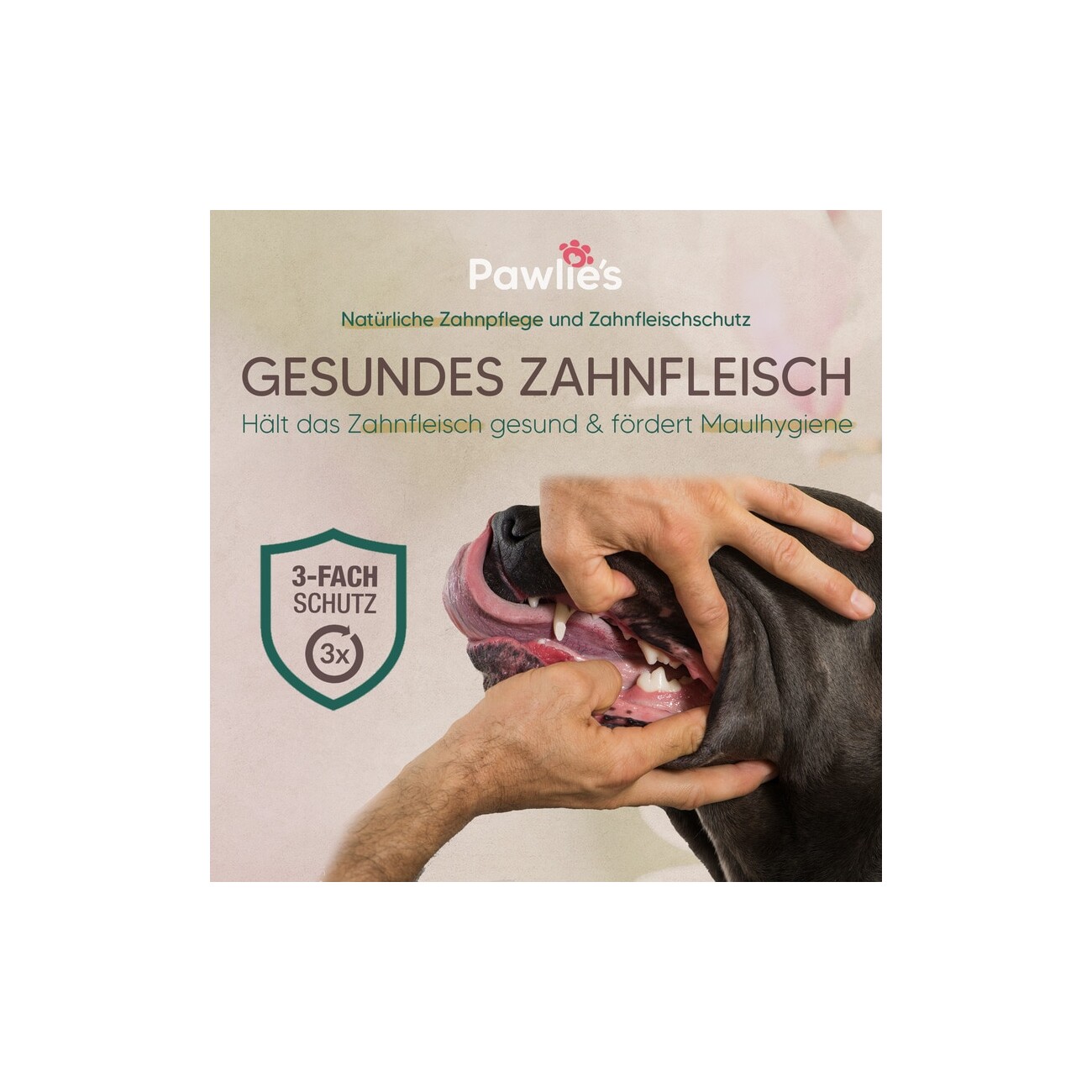 Pawlie's Zahnpflege Zahncreme