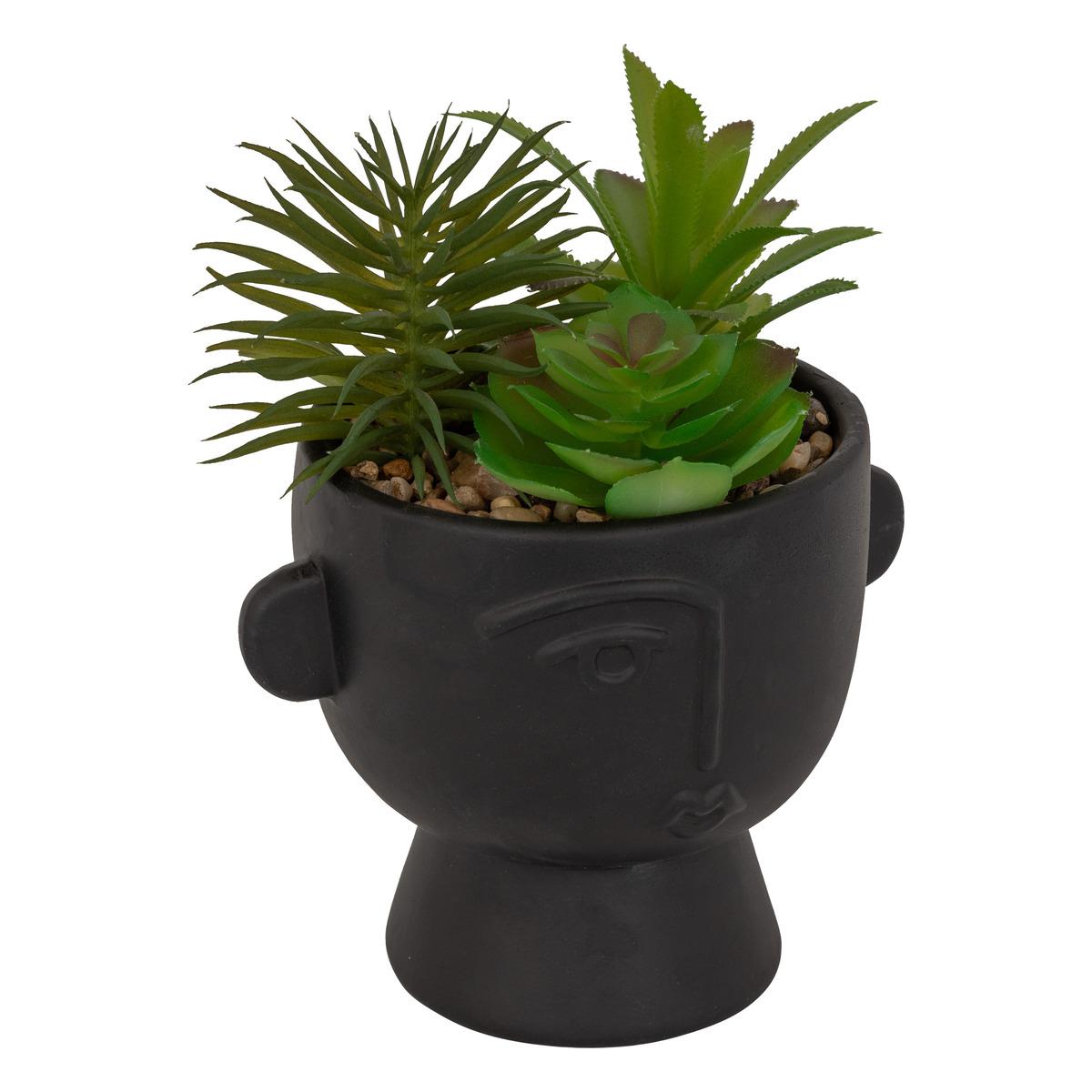 PLANTE GRASSE POT CIMENT DUSTY H.22CM