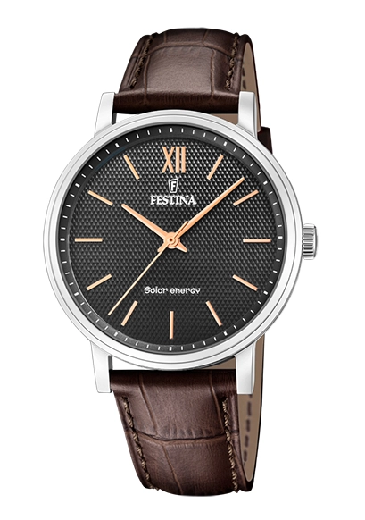 Festina Solar Herrenuhr F20660/6