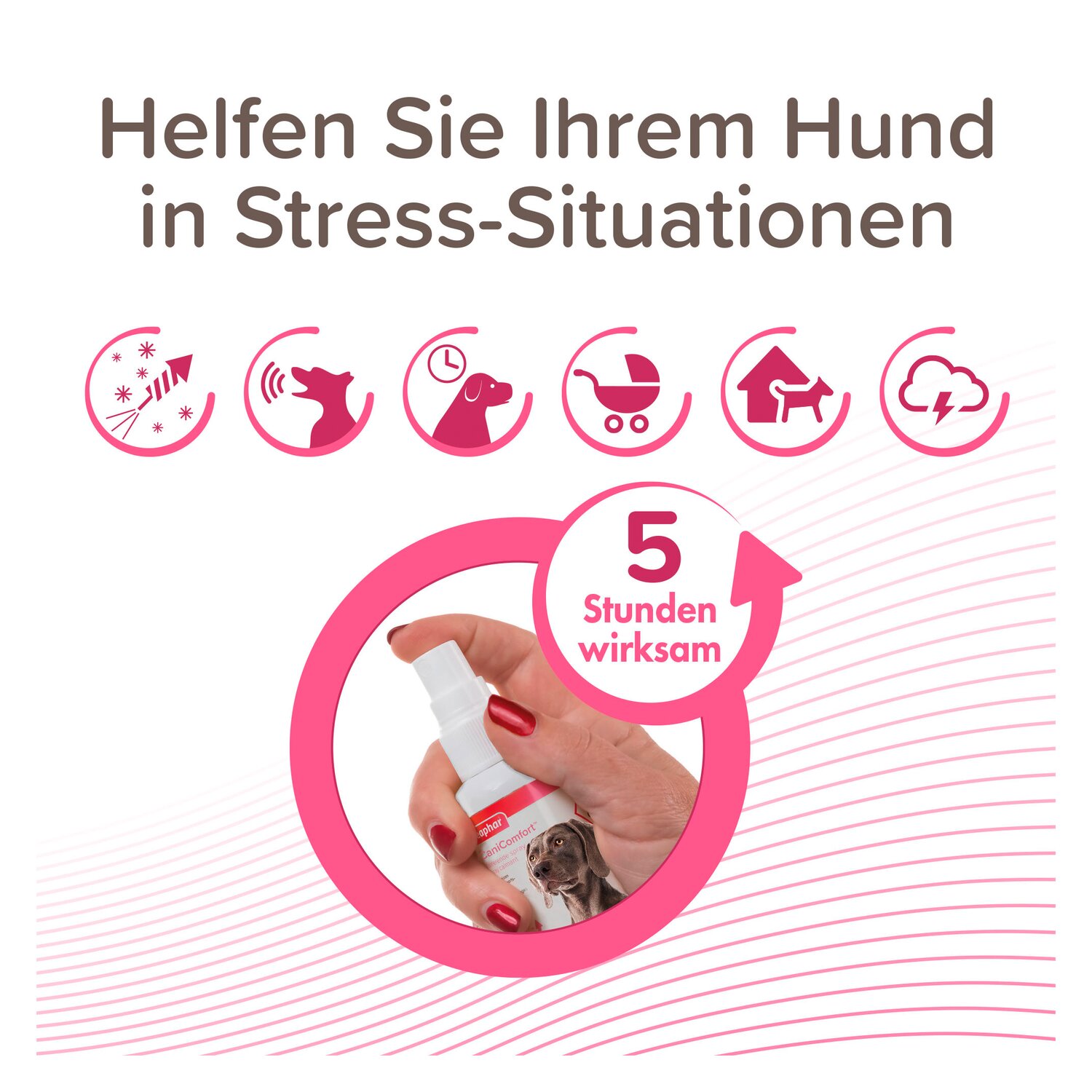 beaphar CaniComfort Wohlfühl-Spray  - 60 ml