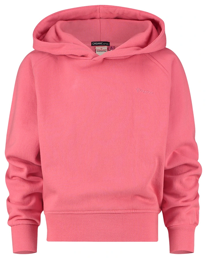 Kapuzen-Sweatshirt G-BASIC in charm peach