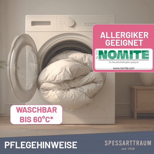 SPESSARTTRAUM Daunenkissen »FIRST CLASS, Kopfkissen 1-tlg. oder  2-tlg. 40x80 oder 80x80 cm« Füllung: 90% Daunen, 10%Federn 1 Stk. tlg. hergestellt in Deutschland, allergikerfreundlich, im Set günstiger