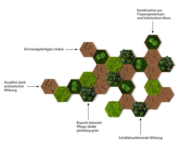 styleGREEN Bilder-Set aus Moos und Kork,
