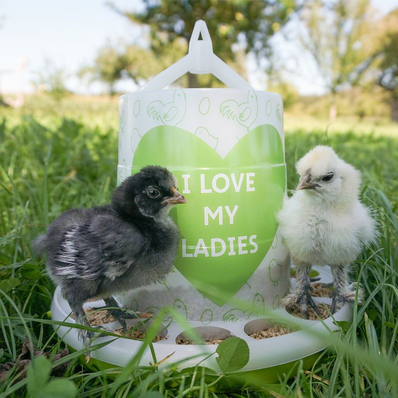 Distributeur automatique de nourriture Kerbl Pet «Ladies» pour poules ✓ pas cher