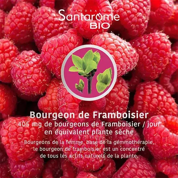 Santarome Bio - Bourgeon Framboisier Bio - Gémmothérapie - Flacon de 30ml