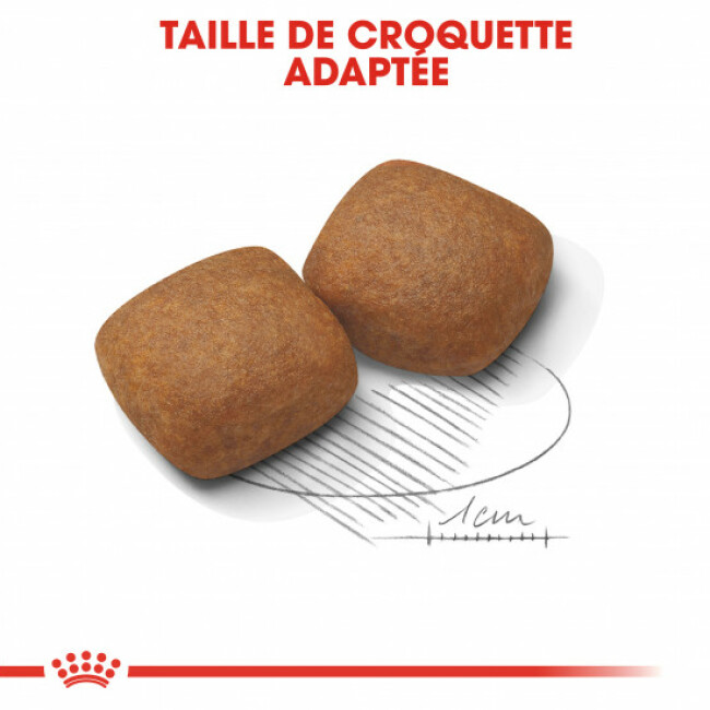 Croquettes Royal Canin Giant Junior