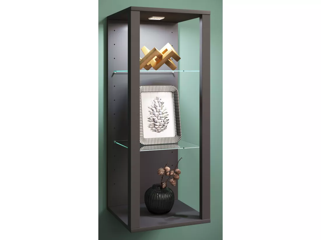 Vitrine murale en verre Étagère murale Glasol MW