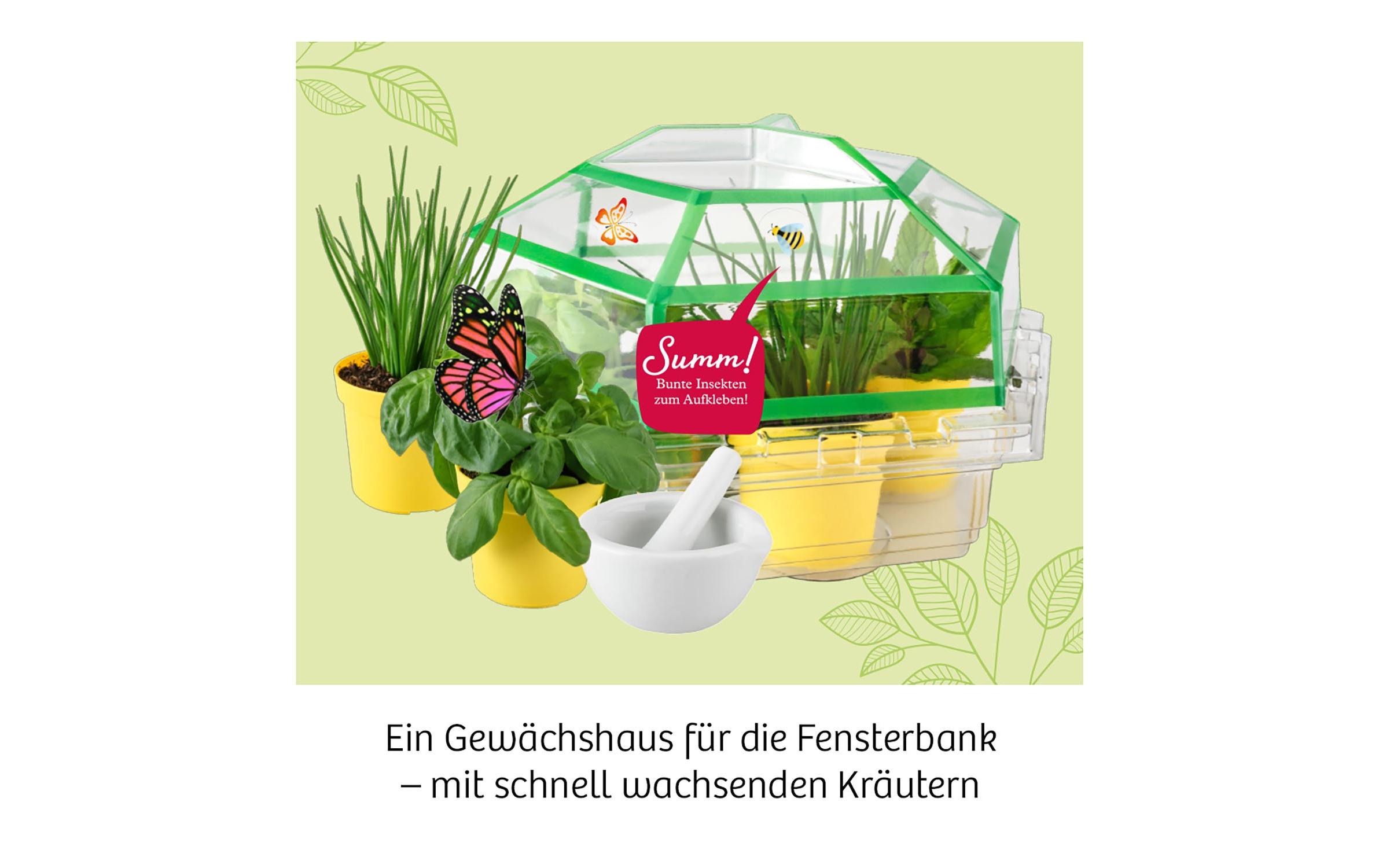 KräutergartenGewächshaus für die Fensterbank